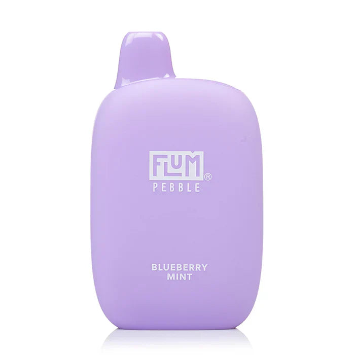 FLUM PEBBLE 6K PUFFS - BLUEBERRY MINT